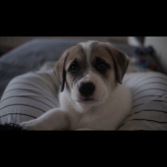 Meet your Posher, Alex - Picture 4 of 6